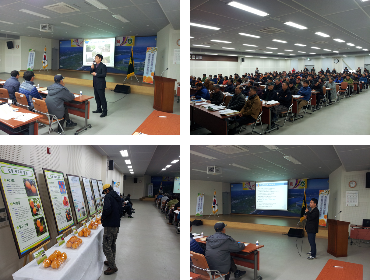 새해 농업인 실용교육 (노지감귤 재배기술, 만감류 재배기술 - 2015. 01. 16) 